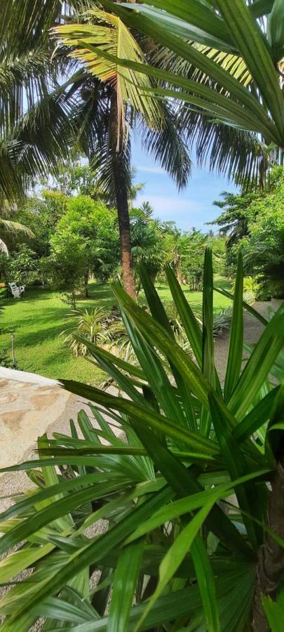 New Holiday Reach Unawatuna Exterior foto